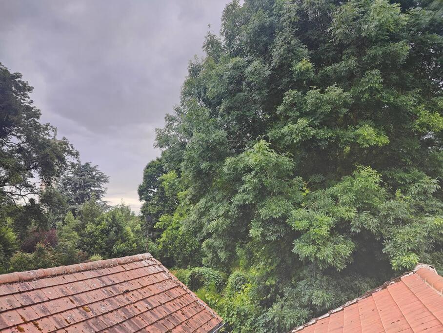 Villeneuve-Saint-Denis Charmant Appartement 2 Pieces Proche Disneyland מראה חיצוני תמונה